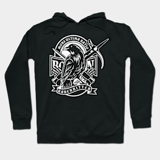 raven knight Hoodie